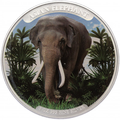 3000 риелей 2023 года Камбоджа «Азиатский слон» (Цветное покрытие)