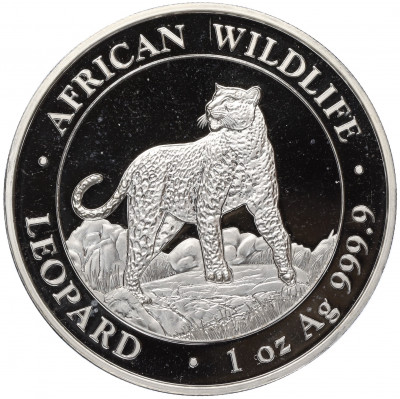 100 шиллингов 2022 года Сомали «Африканская дикая природа — Леопард»