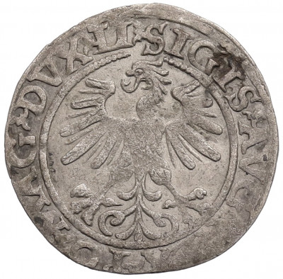 1/2 гроша 1560 года Литва