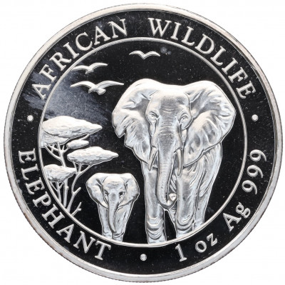 100 шиллингов 2015 года Сомали «Дикая природа Африки — Слон»