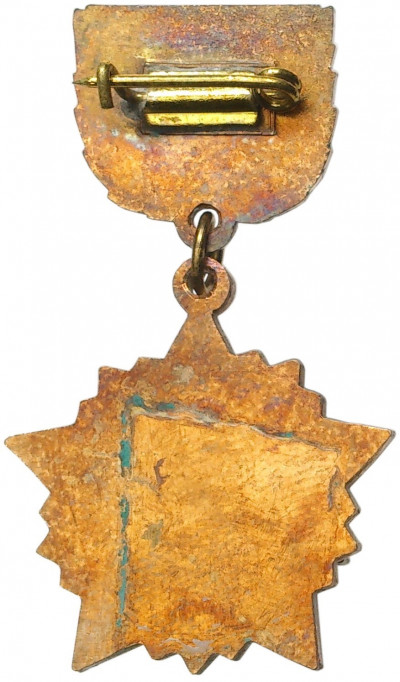 Знак «Ветеран штурмового авиационного корпуса (ШАК)»