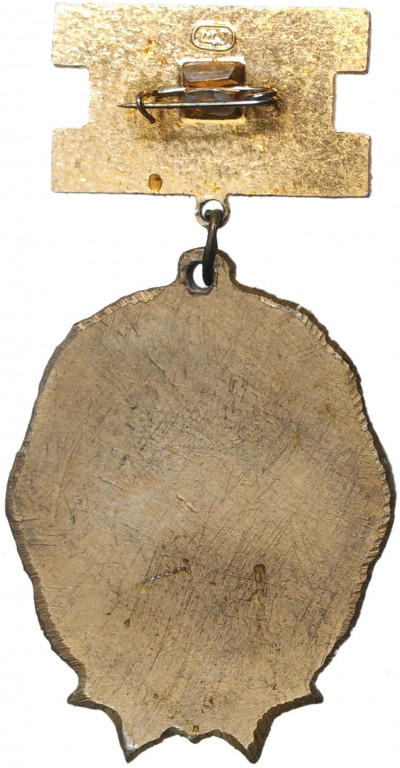 Знак «Ветеран 43 ГШАВКП»