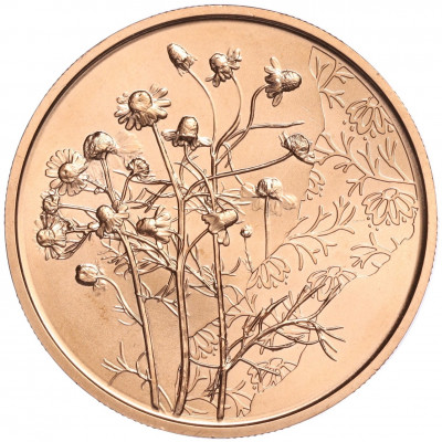 10 евро 2023 года Австрия «Язык цветов — Ромашка»