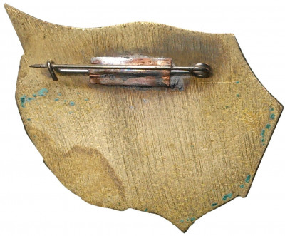 Знак «Ветеран 16 ОМ ДП КАП»