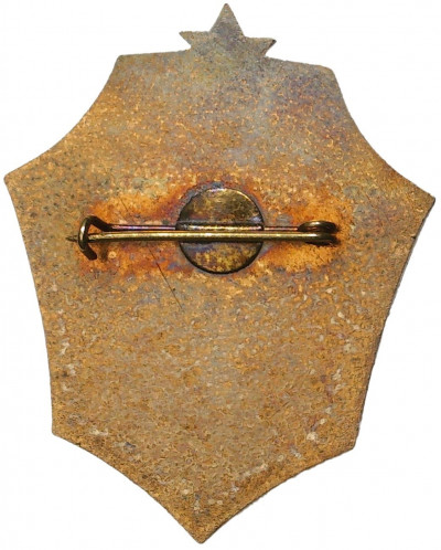 Знак 1972 года «Ветеран 539 Штурмового авиационного полка»