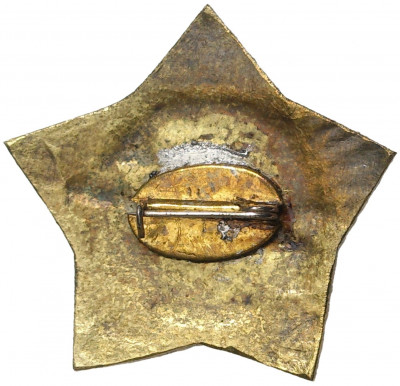 Знак «5 гвардейская Штурмовая авиационная дивизия (ШАД)»