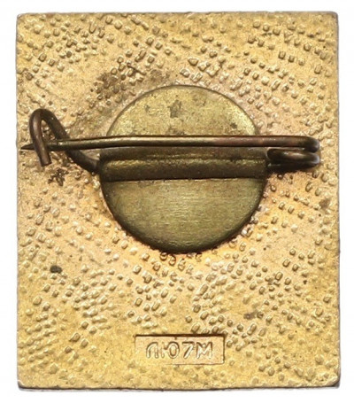 Знак «Полет 1МЧЗ»