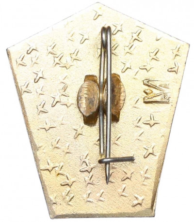 Значок «30 лет Амакинской экспедиции»