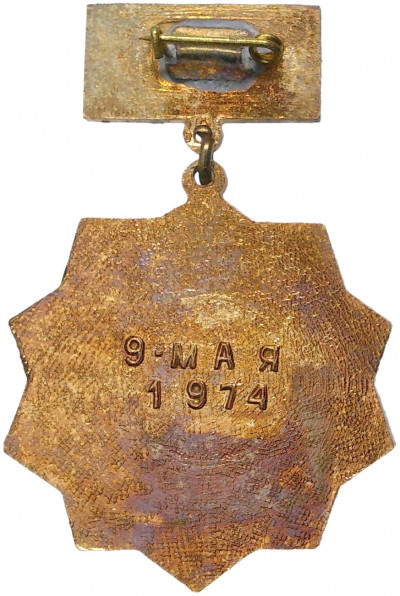 Знак «Отдельная авиационная эскадрилья — Военно-воздушная академия (ОАЭ ВВА — 9 мая 1974)»