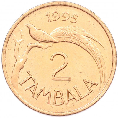 2 тамбалы 1995 года Малави