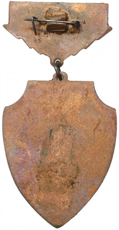 Знак «Ветеран 951 Штурмового авиационного полка»