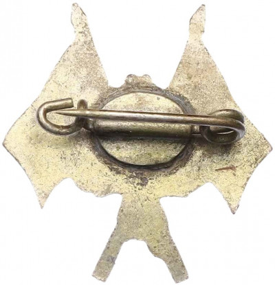 Знак патриотический 1933 года Германия «Немецкого гимнастического союза»