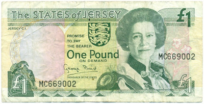 1 фунт 1993 года Джерси