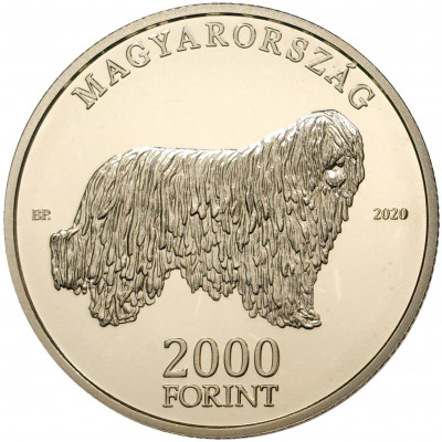 2000 форинтов 2020 года Венгрия «Венгерские овчарки и породы охотничьих собак — Комондор»