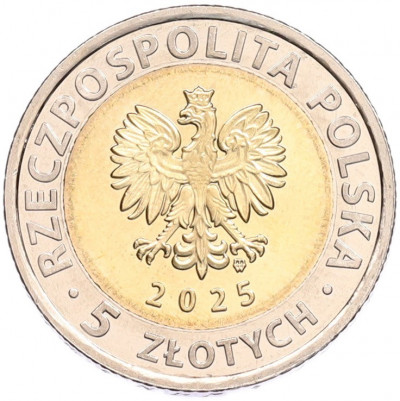 5 злотых 2025 года Польша «Открой для себя Польшу — Ратуша Бжега»