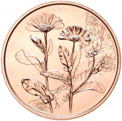 10 евро 2022 года Австрия «Язык цветов — Бархатцы»