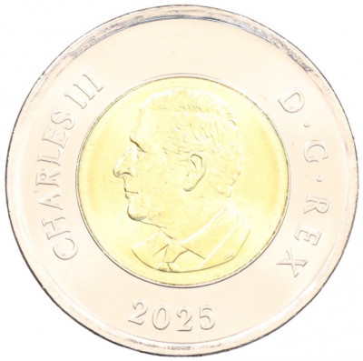 2 доллара 2025 года Канада «Чествование неизвестного солдата Канады» (Цветное покрытие)