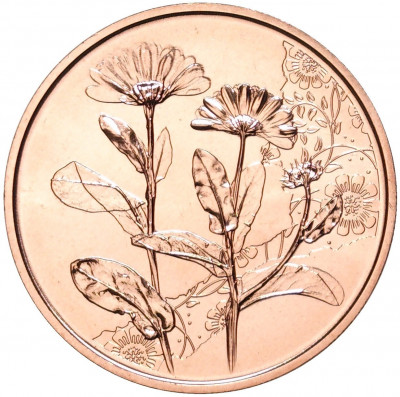 10 евро 2022 года Австрия «Язык цветов — Бархатцы»