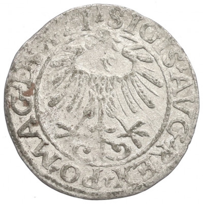 1/2 гроша 1557 года Литва (Сигизмунд II Август)