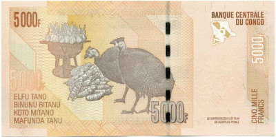 5000 франков 2005 года Конго (ДРК)