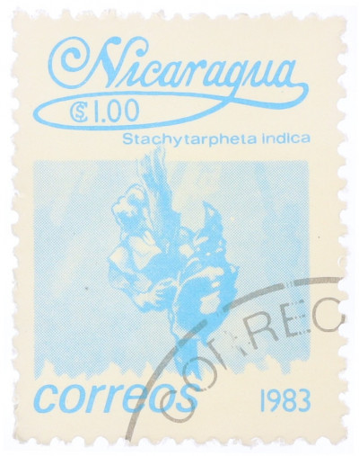 Почтовая марка 1 кордоба 1983 года Никарагуа «Стахитарфета индийская»