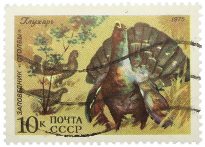 Почтовая марка 10 копеек 1975 года «Заповедник Столбы — Глухарь»