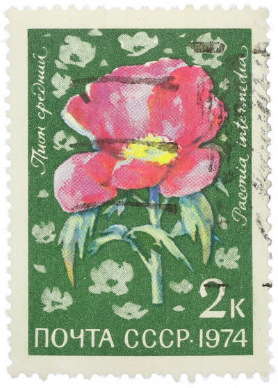 Почтовая марка 2 копейки 1974 года «Цветы альпийских лугов Средней Азии — Пион средний»