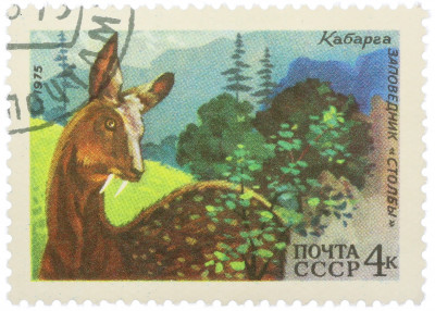 Почтовая марка 4 копейки 1975 года «Заповедник Столбы — Кабарга»