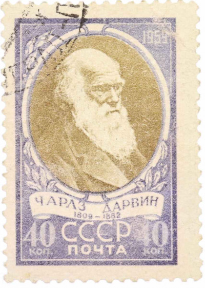 Почтовая марка 40 копеек 1959 года «150 лет со дня рождения Чарлза Роберта Дарвина»