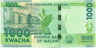 1000 квач 2012 года Малави