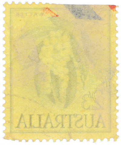 Почтовая марка 2 шиллинга и 3 пенса 1959 года Австралия «Королева Елизавета II Фауна и Флора — Белая акация»