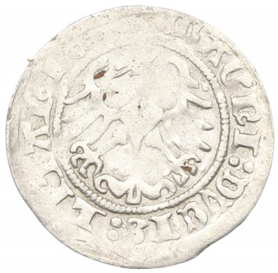 1/2 гроша 1513 года Литва
