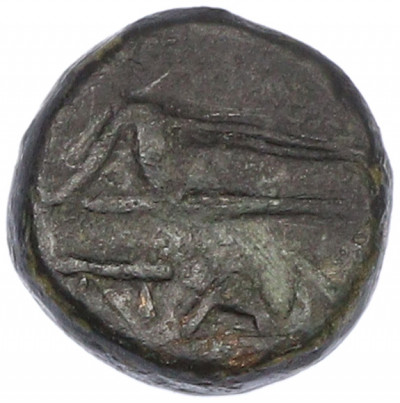 Тетрахалк 150-140 года до н.э. Боспорское царство (Пантикапей) — Персидад IV