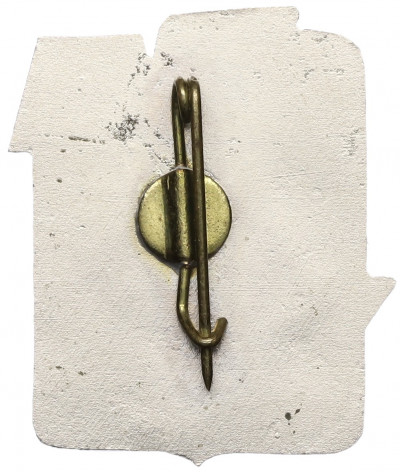 Знак «Латвийское Морское Пароходство» (Тяжелый)