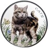 50 центов 2021 года Фиджи «Кошки» (Цветное покрытие)