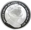1 доллар 2022 года Британские Виргинские острова «Пегас»