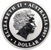 1 доллар 2007 года Австралия «Австралийская Коала»