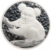 1 доллар 2009 года Австралия «Австралийская Коала»