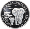 100 шиллингов 2015 года Сомали «Дикая природа Африки — Слон»