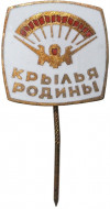 Значок «Крылья Родины»