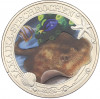 3 евро 2024 года Австрия «Светящаяся морская жизнь — Желтый скат»