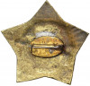 Знак «5 гвардейская Штурмовая авиационная дивизия (ШАД)»