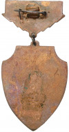 Знак «Ветеран 951 Штурмового авиационного полка»