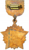 Знак «Ветеран штурмового авиационного корпуса (ШАК)»