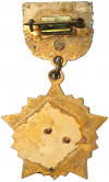 Знак «Ветеран штурмовой авиационной дивизии (ШАД)»