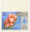 Почтовая марка 10 копеек 1978 года «Гладиолус Москвичка»
